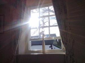 the-sun-through-the-window